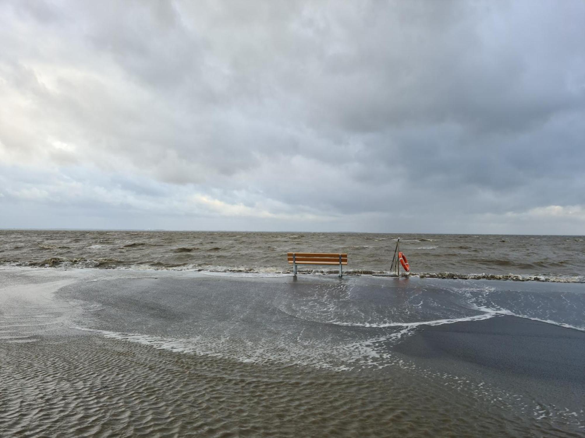 Haus Pudelwohl - Hundefreundliches Ferienhaus An Der Nordseekueste Sehestedt  Esterno foto